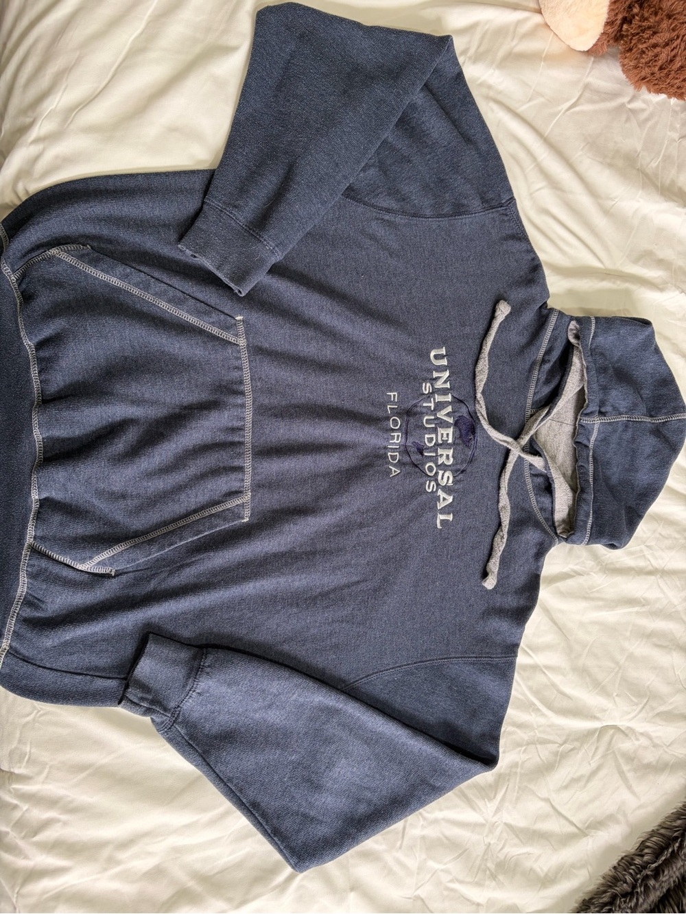 Universal Florida Grey and Blue Hoodie